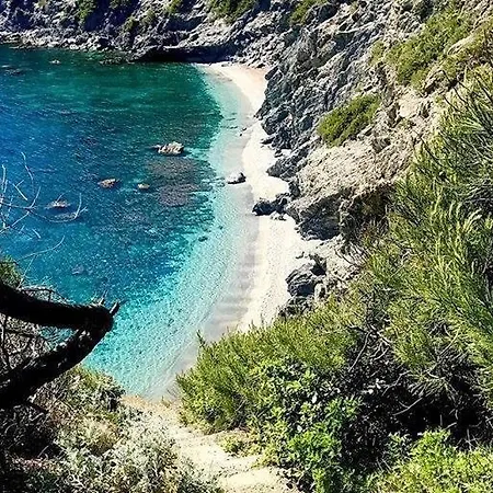 Maison De 50 M2 A 400 M Plage Et Piscine Feriehus